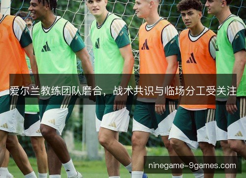 爱尔兰教练团队磨合，战术共识与临场分工受关注